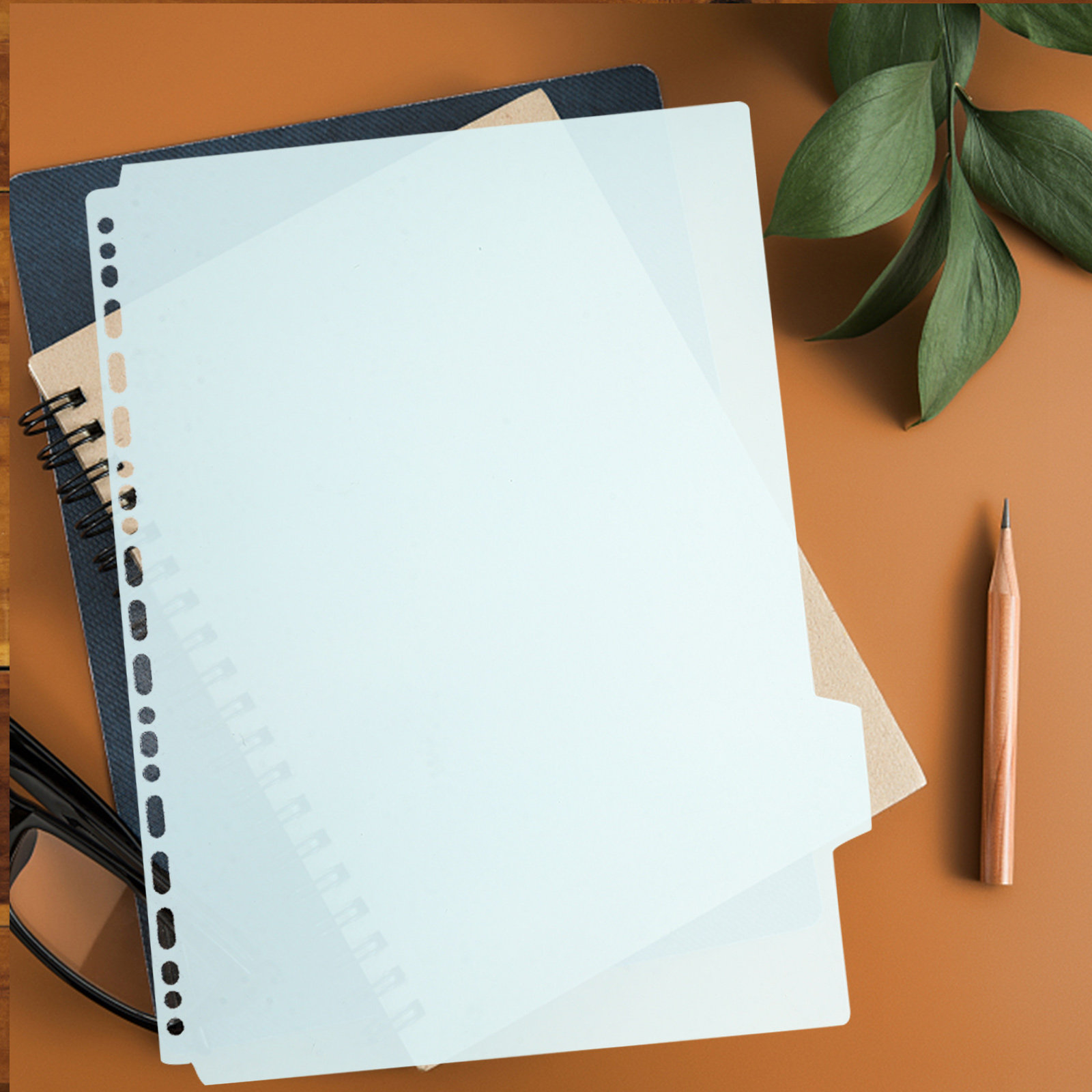 6 divisori in plastica con lin - Tab Divider A4 recensione e prezzo